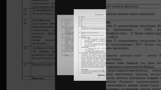 Күйеуі мен оның досы мас әйелін сиқырлайды. орыстар.