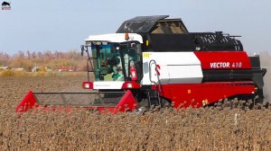 Уборка подсолнуха, собрали культиватор Lemken, вспашка на тракторах МТЗ.