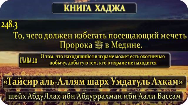 248.3. То, чего должен избегать посещающий мечеть Пророка ﷺ в Медине. смотреть онлайн