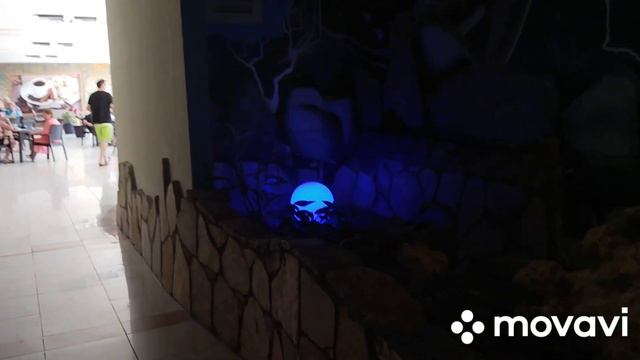 ТУРЦИЯ.ОТЕЛЬ PINE BEACH BELEK     ПРИШЛИ НА ОБЕД.ВПЕРВЫЕ В ЖИЗНИ ПРОБУЮ ПАХЛАВУ