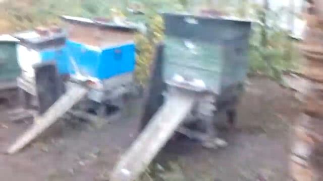 михаил алексеев крайний осмотр пчел и утепление!часть2 смотреть онлайн