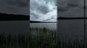 рыбалка и обзор озёр Мещерского заповедника: Святое, Белое, Иванковское, реки Пра