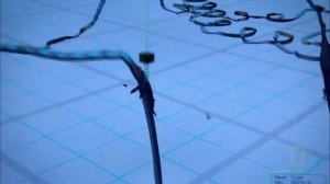 Рождение Океана HD