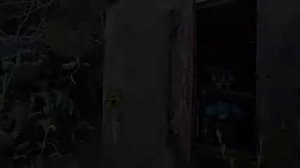 Unnerving Furry Images with Minecraft Cave Sounds