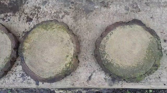 Садовая дорожка с имитацией спила дерева своими руками.