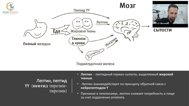 Диетология, нутрициология. Научный подход. Вебинар