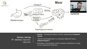 Диетология, нутрициология. Научный подход. Вебинар
