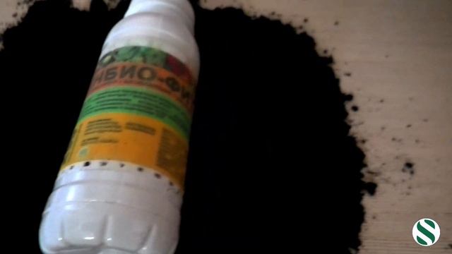 Подготовка к выращиванию рассады. смотреть онлайн