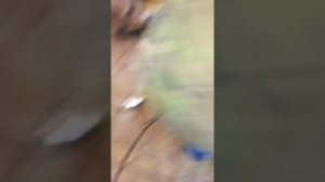 Дисковая пиларама флянец для пилы