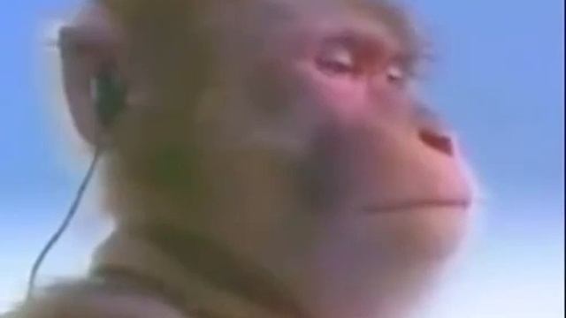 типа я такая типа еду вечером смотреть онлайн