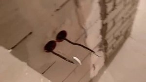 День 9 Запенил соседу снизу стояк. Обзор ремонта под продажу