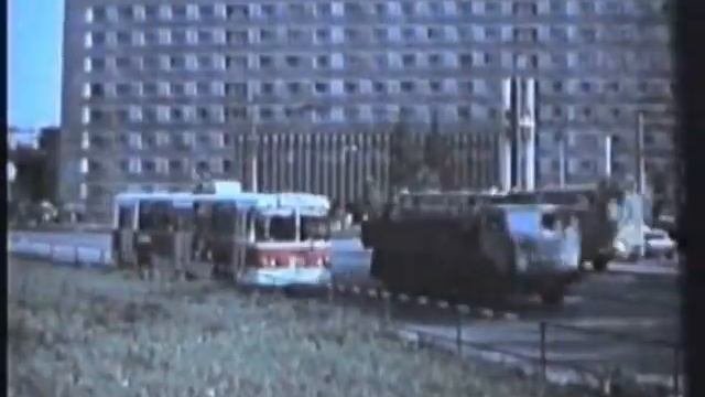 Снегири
