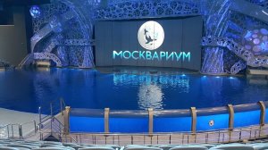 Москвариум