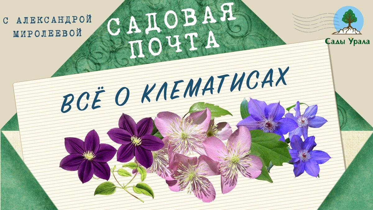 Садовая почта: Все о клематисах. Выпуск 14