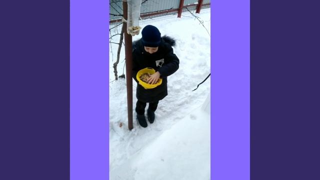 Лучший ролик про птиц Природоохранный трек "День птиц" #ГДЭБЦ смотреть онлайн