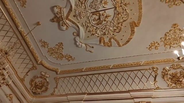 Несвижский замок (Беларусь), полный видео обзор. Nesvizh Castle (Belarus), full video review. смотреть онлайн