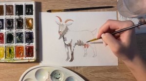 Как нарисовать козу карандашом и акварелью начинающим | Рисунок для детей