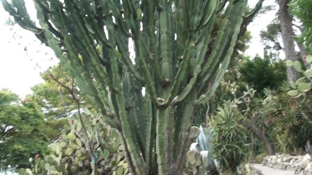 Вилла Ротшильда Очень достойный сад смотреть онлайн