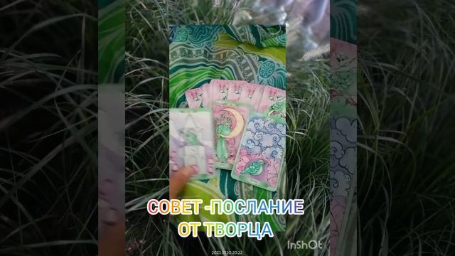 СОВЕТ -ПОСЛАНИЕ ОТ ВЫСШИХ СИЛ 🌷🌷🌷#таропослание #посланиевселенной #таро #тароанализ #энергияднятаро