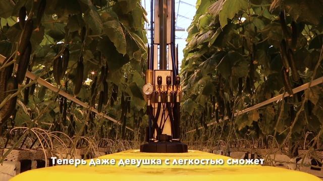 Моторизированная штанга  Walzmatic AGRO JET300R
