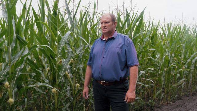 Нас рекомендуют. Отзыв ООО “ИСТОКИ” смотреть онлайн