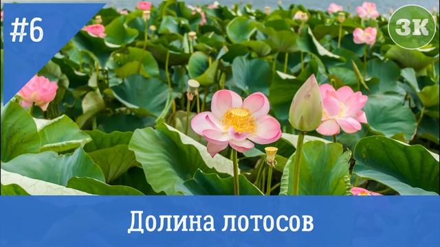 ТОП-10 самых удивительных месте Краснодарского края