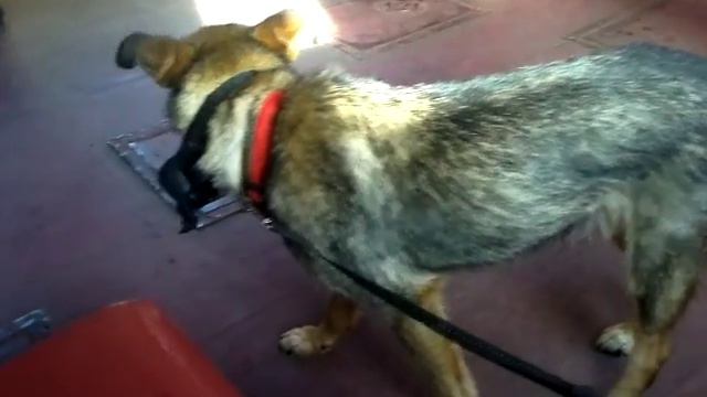 Первый раз, когда Ева ездит в электричке смотреть онлайн