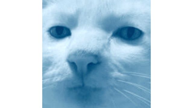 Сатана Печёт Блины - Осколки смотреть онлайн