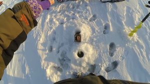 Судаковая рыбалка на Обском водохранилище в январе. Ловим судака под стаей леща!