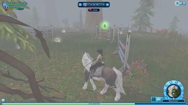Star Stable Training Time! #21 - Reading Your Secrets with My Sister! смотреть онлайн