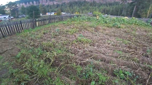 Друг приехал погостить. Делаем ремонт и копаем картошку. смотреть онлайн