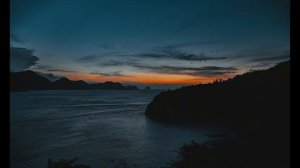 Freaks - Surf Curse  [Lyrics/Sub]