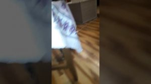 Наша кукла АВМКС КУБА Американский Булли и ам.стаффы