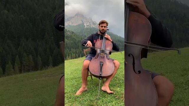 Always On My Mind  Hauser