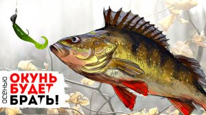 Проводка джигом которая ловит окуня всегда. Как ловить окуня на джиг?