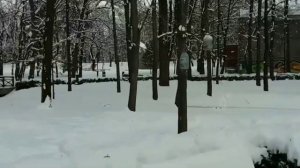 Однажды в зимнюю пору ..