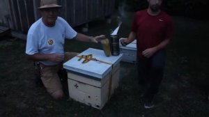 Как перевозить пчел? (Канада) - Как подготовиться к кочевке с пчелами?