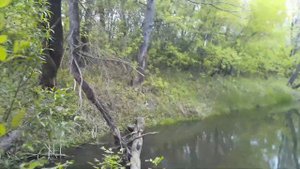 РЕЧКА КАК РУЧЕЙ.Ловля щуки и окуня на спининг в диких местах.