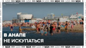 Запрет на купание в море установили в Анапе - Москва 24