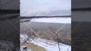 Зотино, тайга, центр Сибири