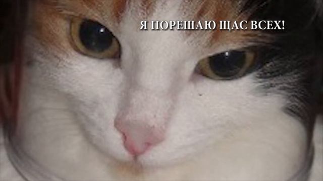 Алиэкспресс - лепка из пластилина или где купить материал + стеки. Как начать. Мини-лента 3.