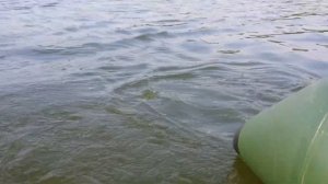 Поездка на озеро Дго вместе с "Коло Яра"