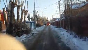 Омолаживающая обрезка 300 тополей