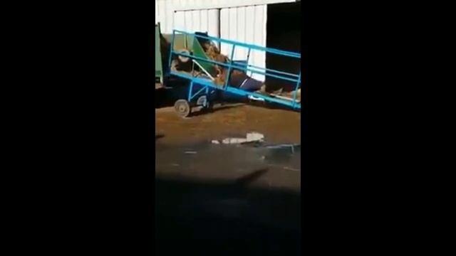 Девушки, тачки и навоз || Видео подборка || Girls, carts and manure смотреть онлайн