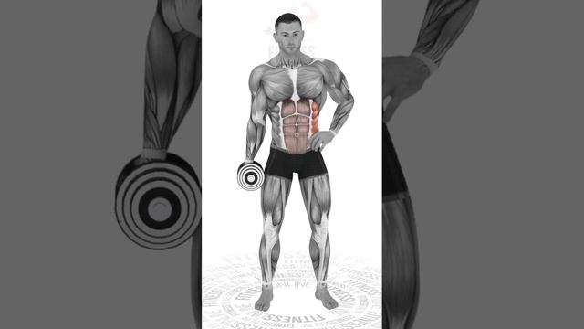 Боковые наклоны с гантелями/Side bends with dumbbells