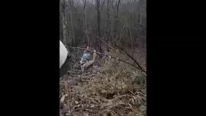 Все смотрел видел но такое в первые .