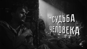 Красота "Судьбы человека" │︎ The Beauty Of "The fate of man"
