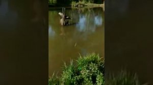 Рыбалка в Кольчугино