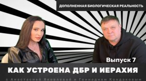 Как устроена ДБР и иерархия | Цикл передач о ДБР | Выпуск 7