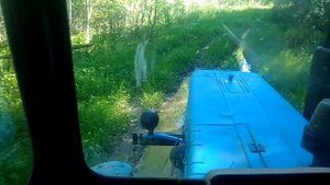 На тракторе по бездорожью от первого лица. Лес и болота | Снято на древний китайский телефон